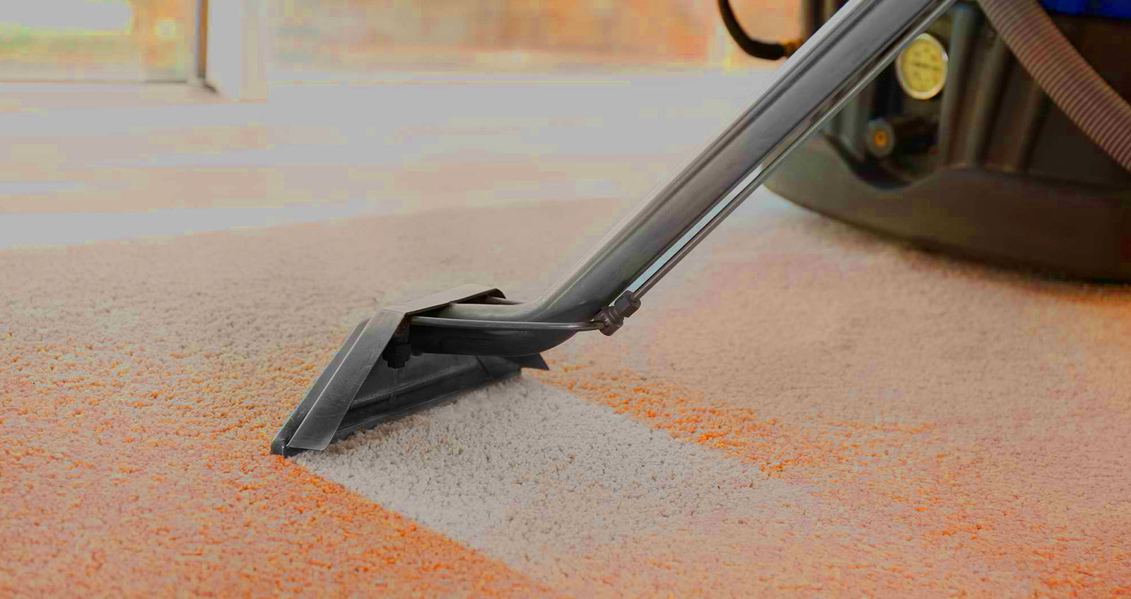 Keeping Your Carpets Clean Is Our Business